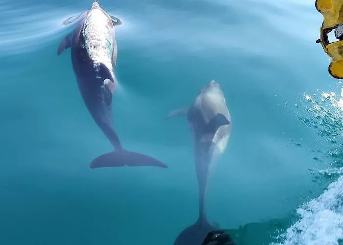 Kefalos Lejlighed Argostoli (Kefalonia)